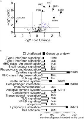 Differentially Expressed Gene Pathways in the Conjunctiva of Sjögren Syndrome Keratoconjunctivitis Sicca